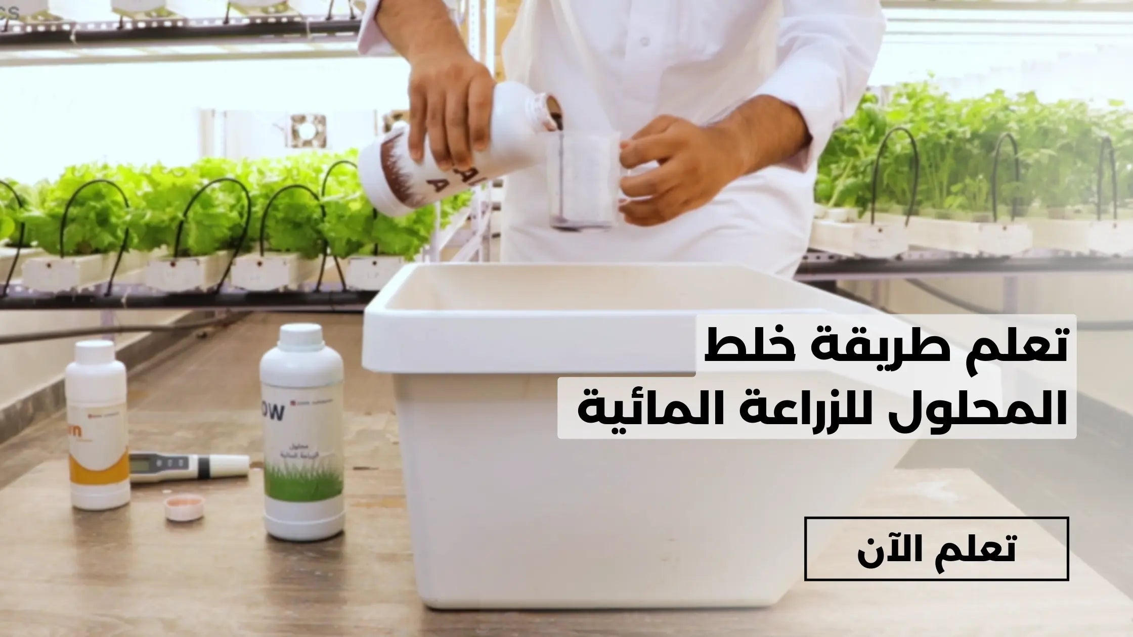 article-banner-image