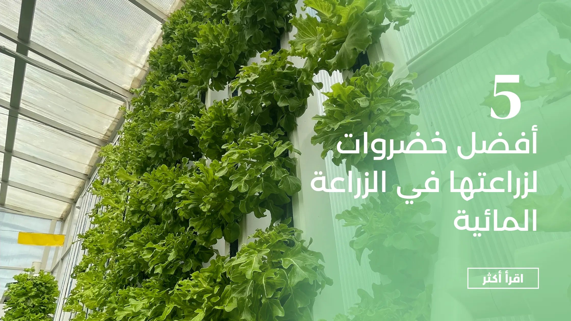 article-banner-image