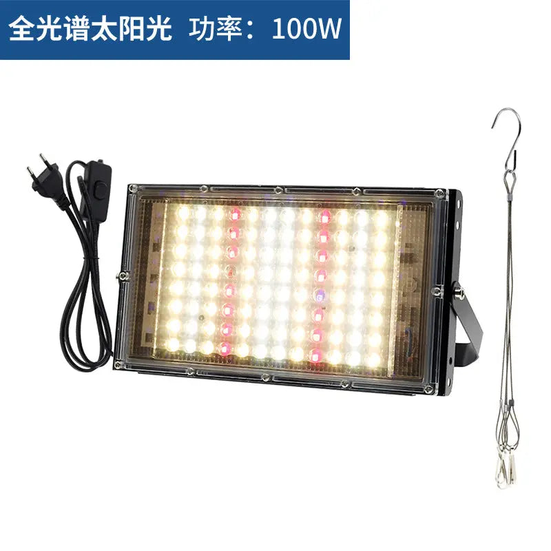 LED