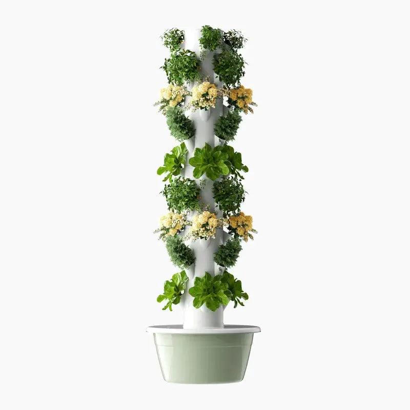 Hydroponics