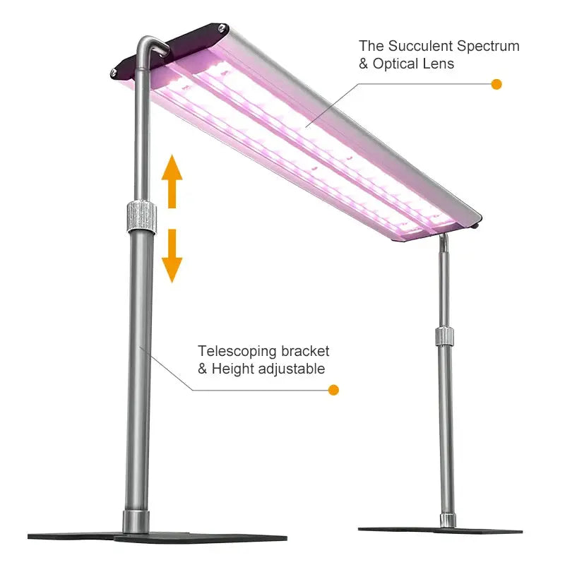 LED