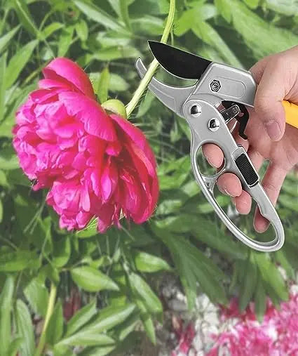 Ratchet Pruners MHB Hydroponics