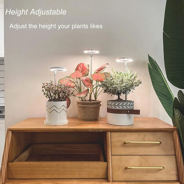 Halo LED Lamp Grow Light MHB Hydroponics