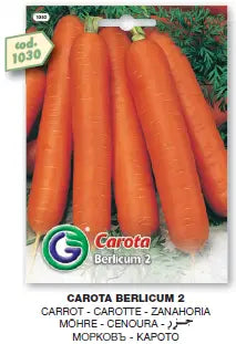 Carota