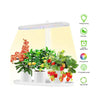 Grow Light Tray MHB Hydroponics