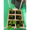 6 Dutch Bucket System MHB Hydroponics