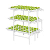 3-Layer NFT System MHB Hydroponics