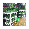 3-Layer NFT System MHB Hydroponics