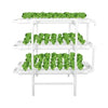 3-Layer NFT System MHB Hydroponics