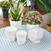 5-Piece Self-Watering Planters – White Flower Pots MHB Hydroponics