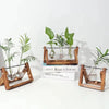 Bulb Vase Propagation Station – 3 Glass Vases with Wooden Stand MHB Hydroponics
