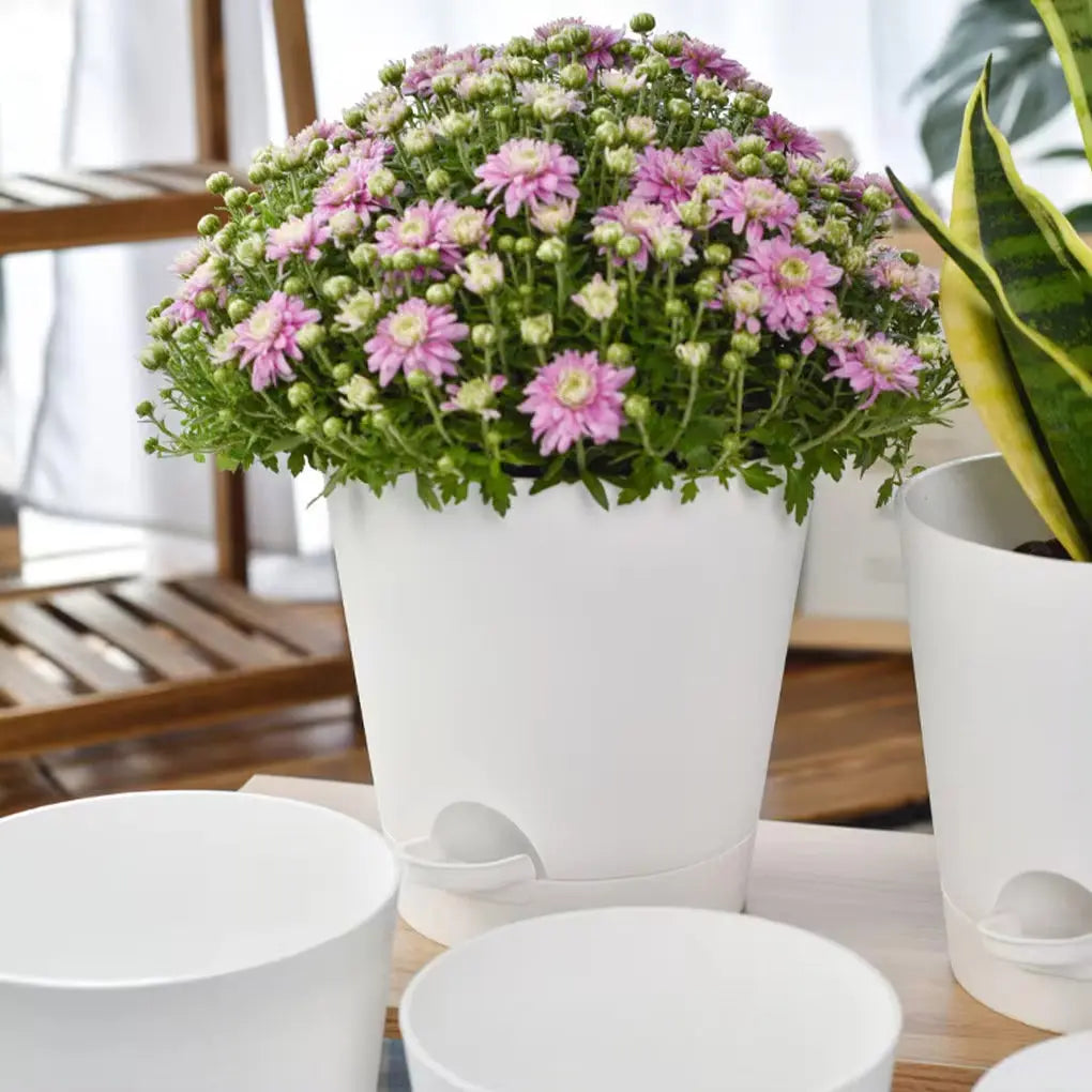 5-Piece Self-Watering Planters – White Flower Pots MHB Hydroponics
