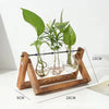 Bulb Vase Propagation Station – 3 Glass Vases with Wooden Stand MHB Hydroponics