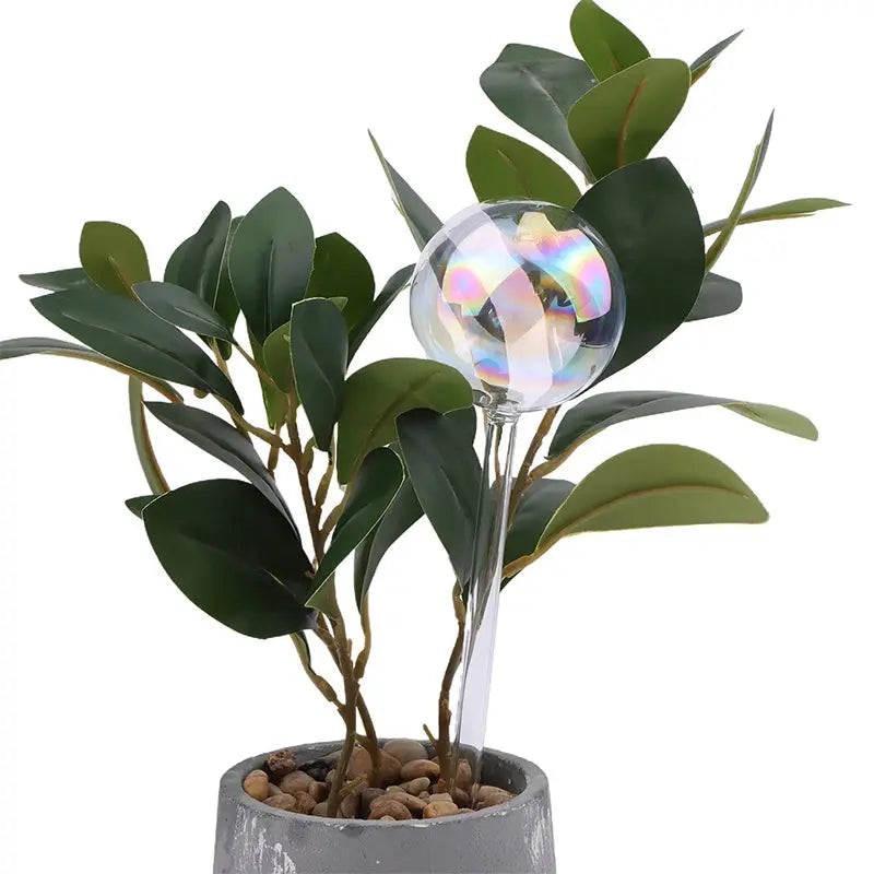 Rainbow Self-Watering Globes – Auto-Watering Glass Bulbs MHB Hydroponics