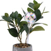 Rainbow Self-Watering Globes – Auto-Watering Glass Bulbs MHB Hydroponics