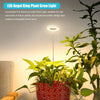 Halo LED Lamp Grow Light MHB Hydroponics