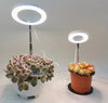 Halo LED Lamp Grow Light MHB Hydroponics