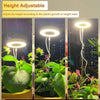 Halo LED Lamp Grow Light MHB Hydroponics