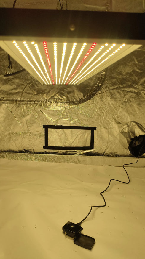 WIN Grow Light Led Board MHB Hydroponics
