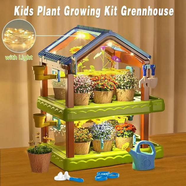 Kids Planting Sunroom Double Layer MHB Hydroponics