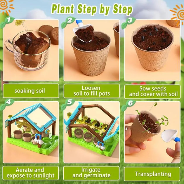 Kids Planting Sunroom Double Layer MHB Hydroponics
