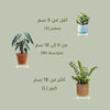 جهاز سستي لقياس رطوبة التربة MHB Hydroponics
