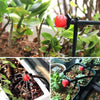 Adjustable 8L/H Mini Dripper – Garden Drip Irrigation System (20pcs) MHB Hydroponics