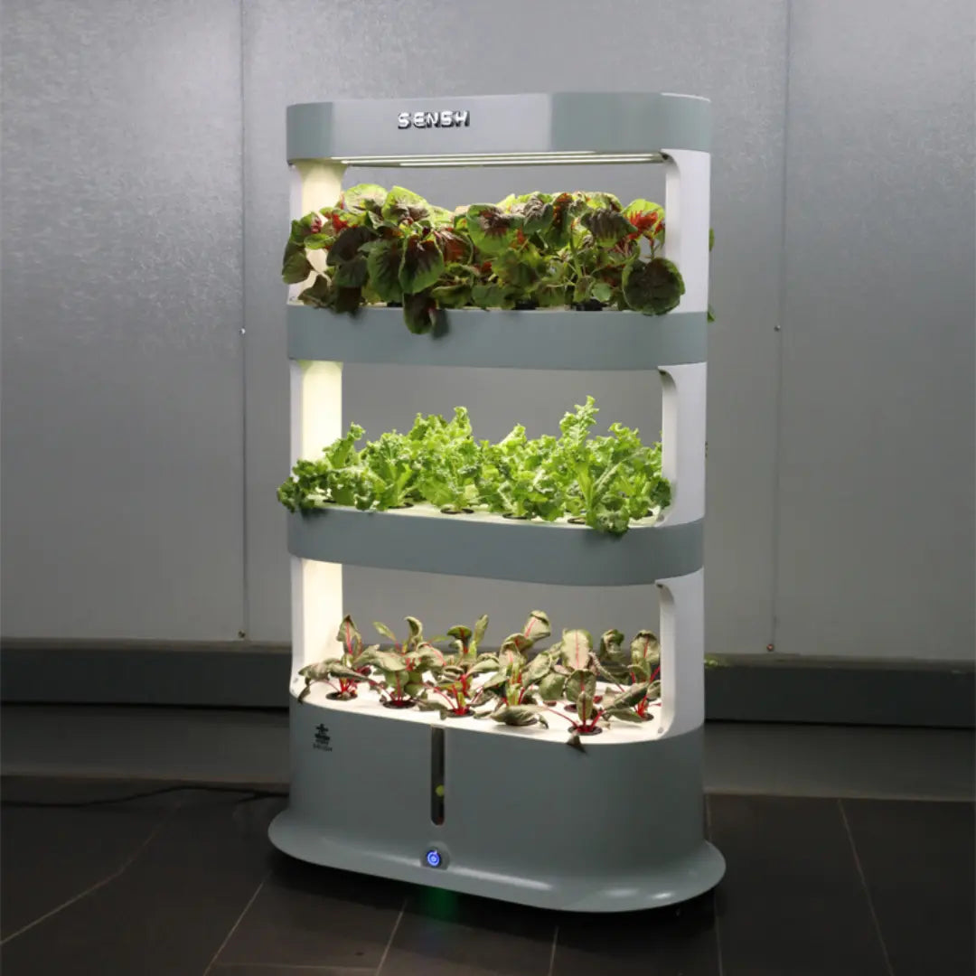 Hydroponics Indoor Home Garden - MHB Hydroponics