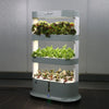 Hydroponics Indoor Home Garden - MHB Hydroponics