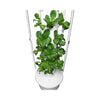 Vertical Hydroponics Indoor Tower - MHB Hydroponics