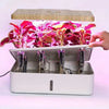 Grow Basket Hydroponics Net Pots MHB Hydroponics