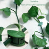 Leaf Shape Plant Support Clips (10pcs) MHB Hydroponics