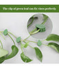 Leaf Shape Plant Support Clips (10pcs) MHB Hydroponics