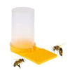 Bee Feeder Water Dispenser MHB Hydroponics