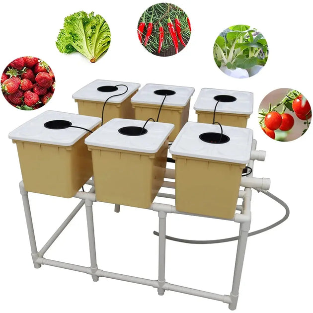 6 Dutch Bucket System MHB Hydroponics