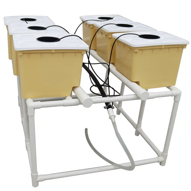 6 Dutch Bucket System MHB Hydroponics