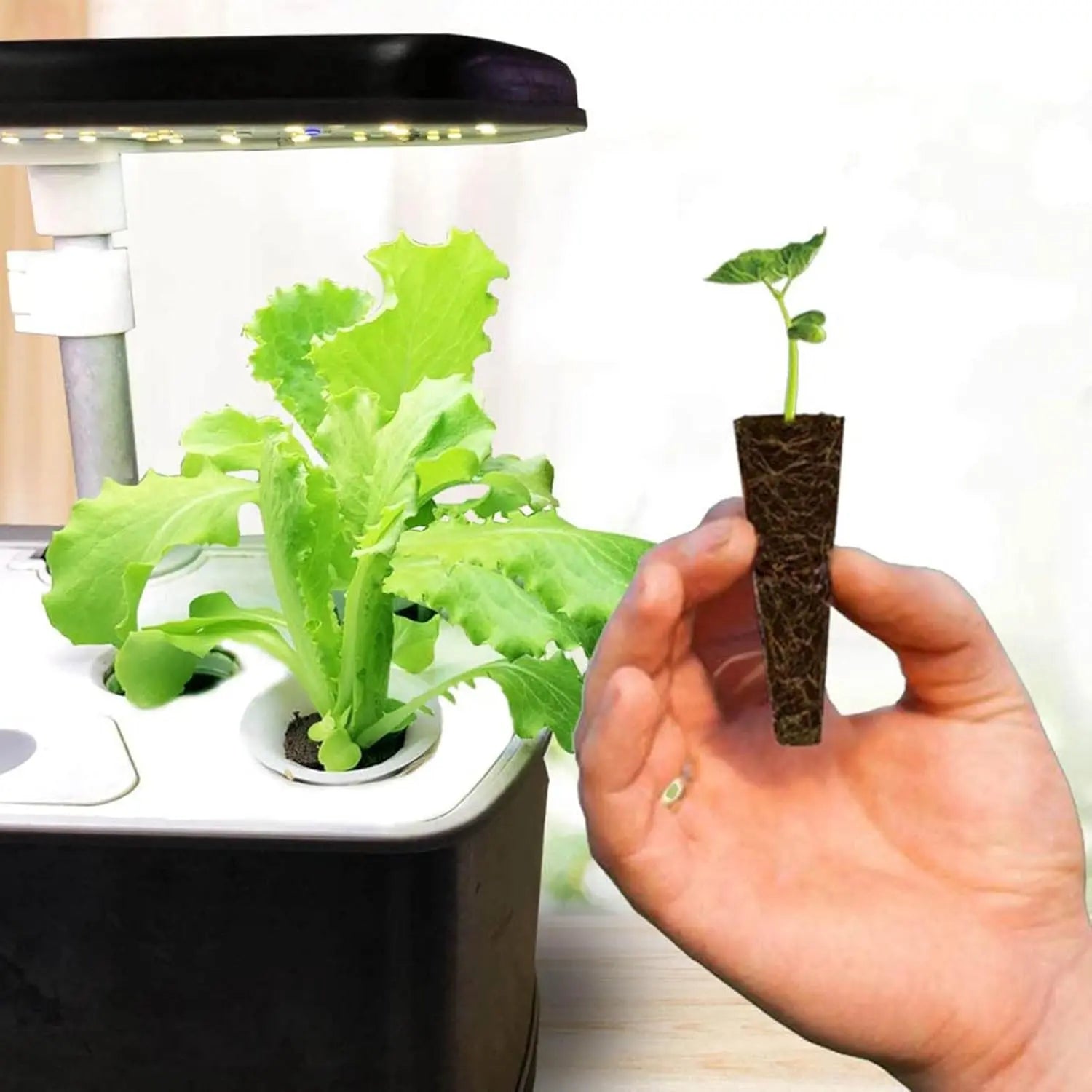 Planting Sponges Plug (10 pcs) MHB Hydroponics