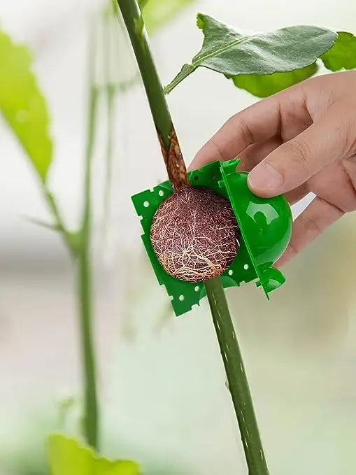 High-Pressure Rooting Ball MHB Hydroponics