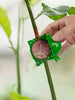 High-Pressure Rooting Ball MHB Hydroponics
