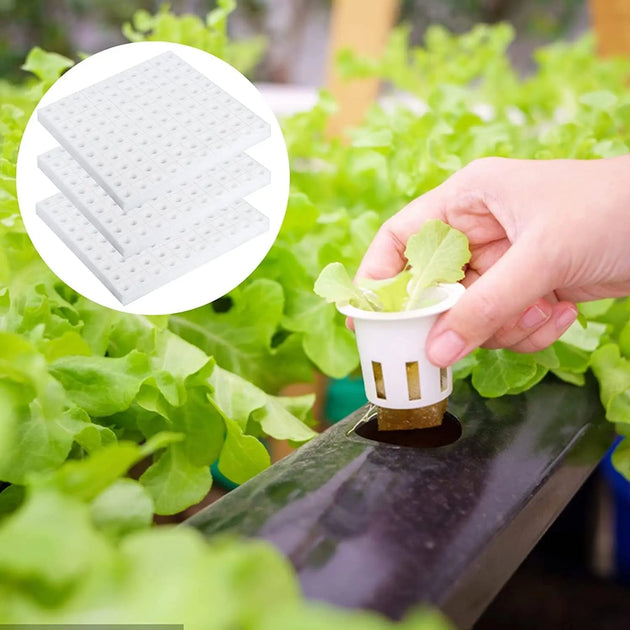 Sponges Sheet (1-inch) MHB Hydroponics
