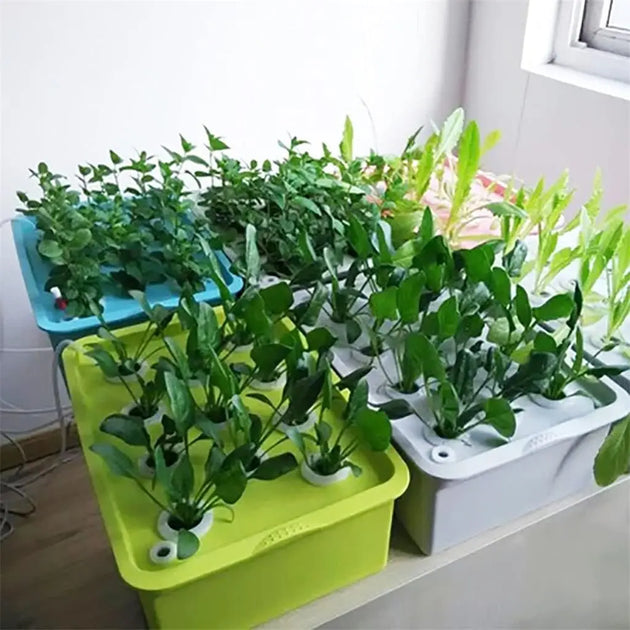 Small Hydroponics Kit (6-holes) MHB Hydroponics
