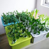 Small Hydroponics Kit (6-holes) MHB Hydroponics