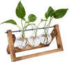 Bulb Vase Propagation Station – 3 Glass Vases with Wooden Stand MHB Hydroponics