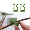 Plant Climbing Wall Clips – Indoor/Outdoor Vine Support (10pcs) MHB Hydroponics