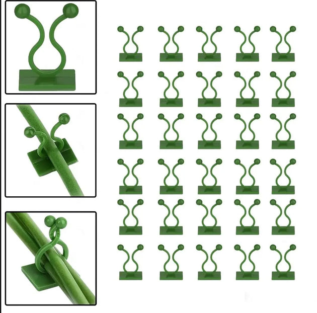 indoor climbing plant wall clips Climbing Wall Clips – Indoor & Outdoor Vine Plant Support – MHB Hydroponics