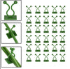 Plant Climbing Wall Clips – Indoor/Outdoor Vine Support (10pcs) MHB Hydroponics