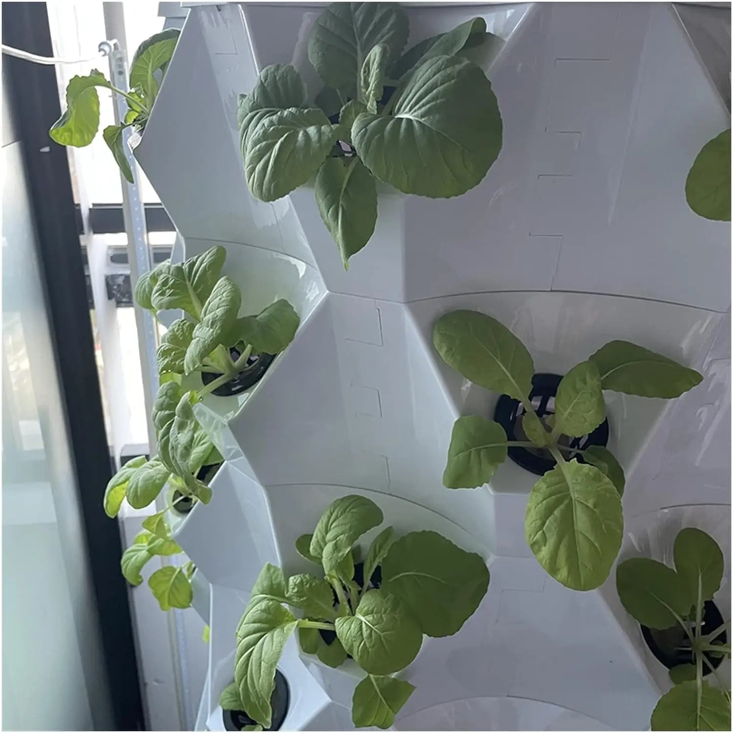 Pineapple Hydroponic Aeroponics Vertical System (64 Plant Holes) - MHB Hydroponics