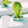 Mini Net Pots MHB Hydroponics
