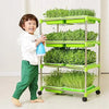 Microgreen Rack MHB Hydroponics