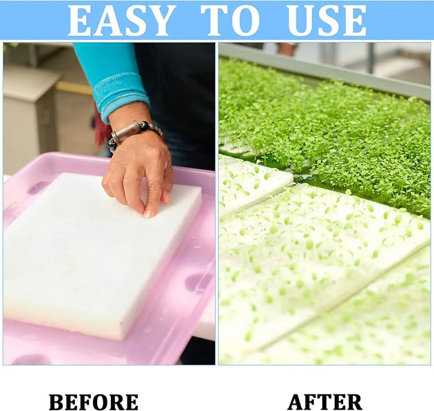Sponges Sheet (1-inch) MHB Hydroponics